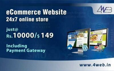 Best Offer for Ecommerce Website Development